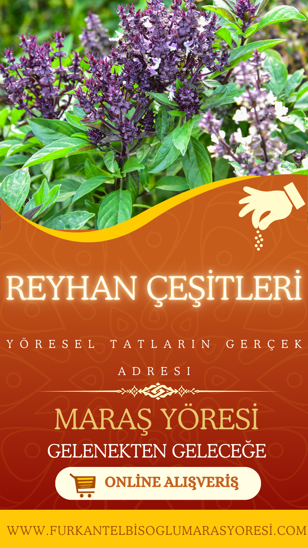 REYHAN ÇEŞİTLERİ