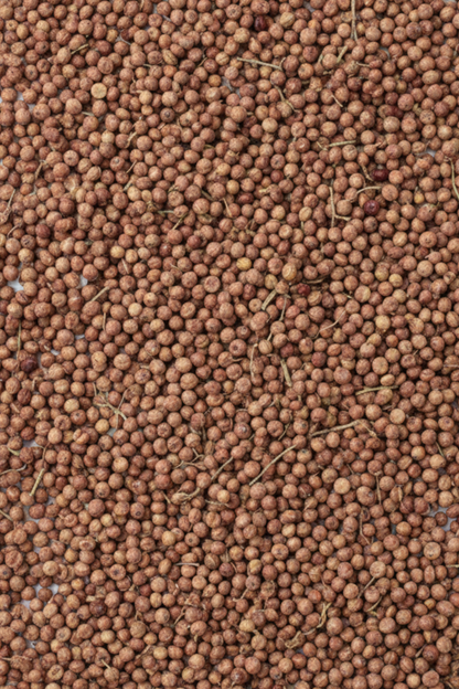 Tane Sumak (Organik,Yeni Mahsül) Maraş Yöresi