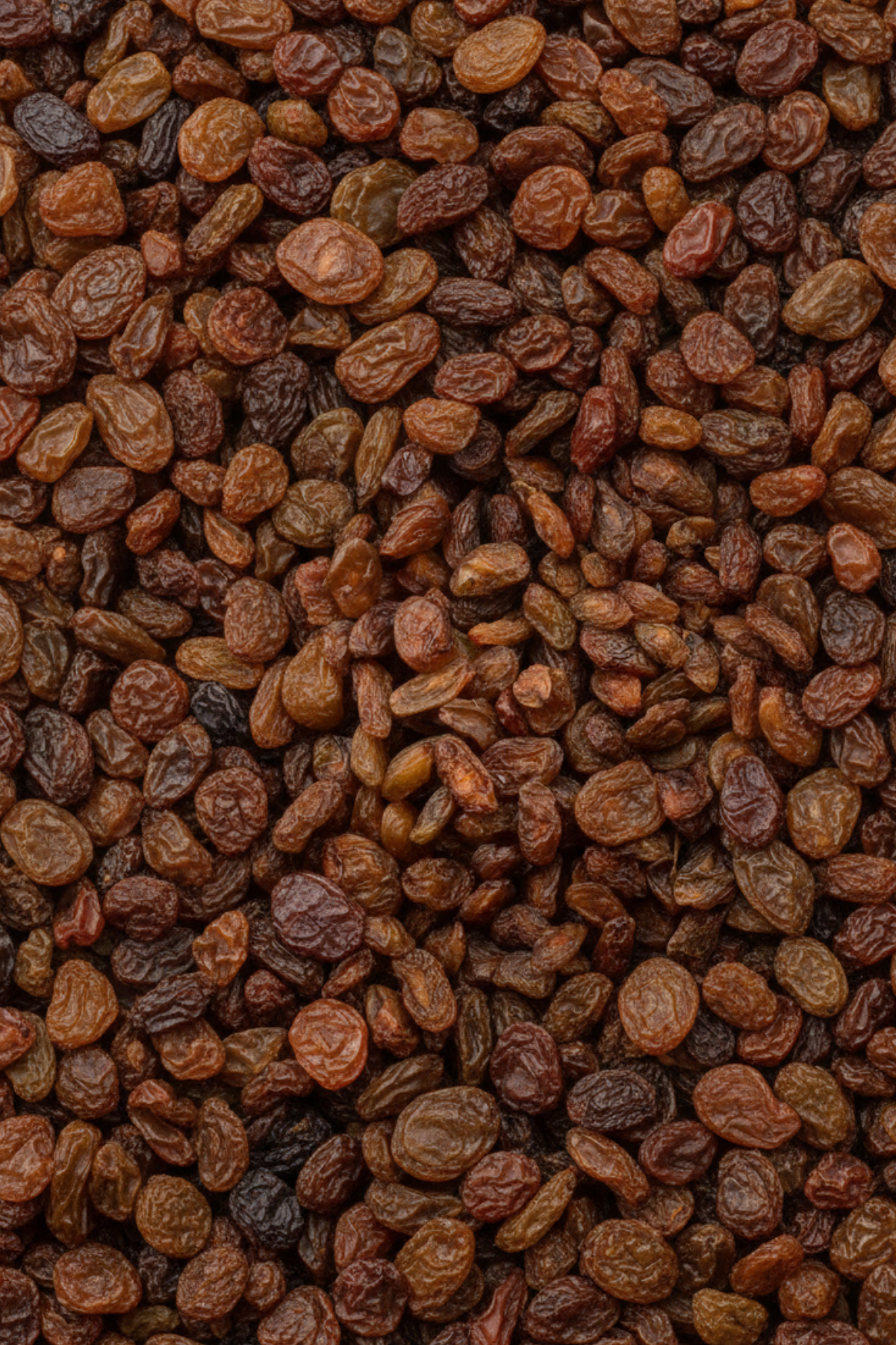 Besni Üzümü (Yöresel,Yeni Mahsül,Elenmiş)