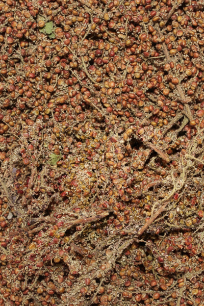 Organik Dal Sumak (Taze,Katkısız) Maraş Yöresi