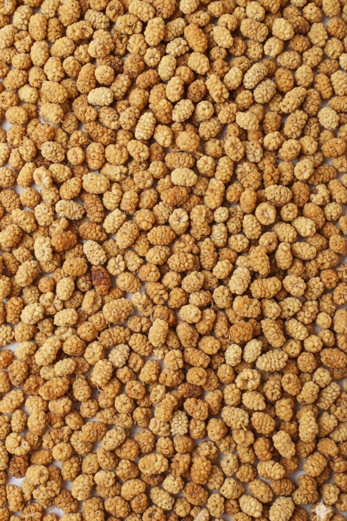 Dut Kurusu (Yöresel,Yeni Mahsül,Elenmiş)