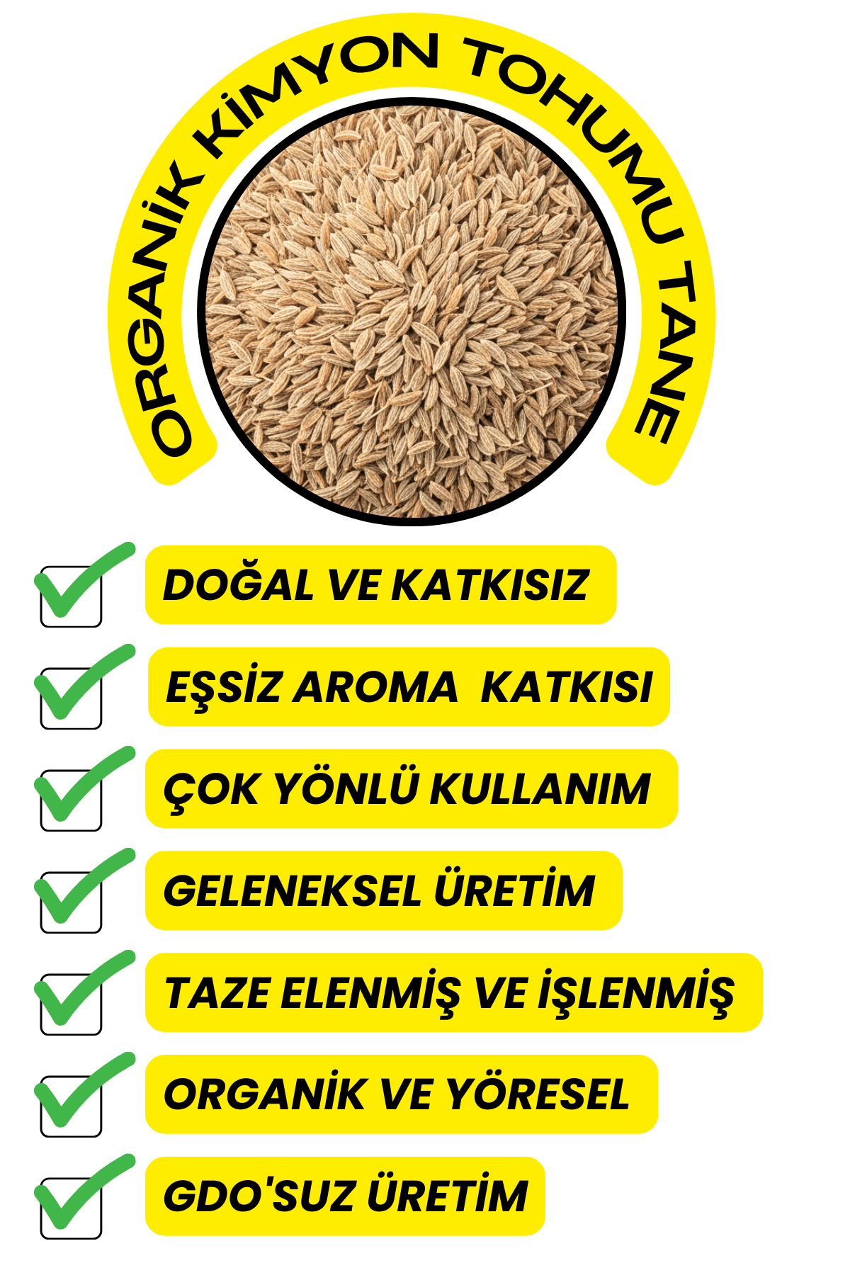 Kimyon Tohumu Tane  (Elenmiş, Katkısız)