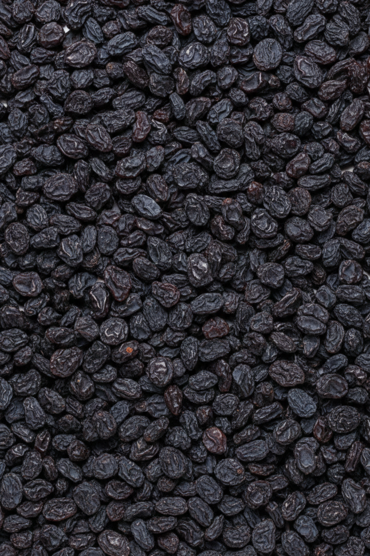 Siyah Üzüm (Yöresel,Yeni Mahsül,Elenmiş)