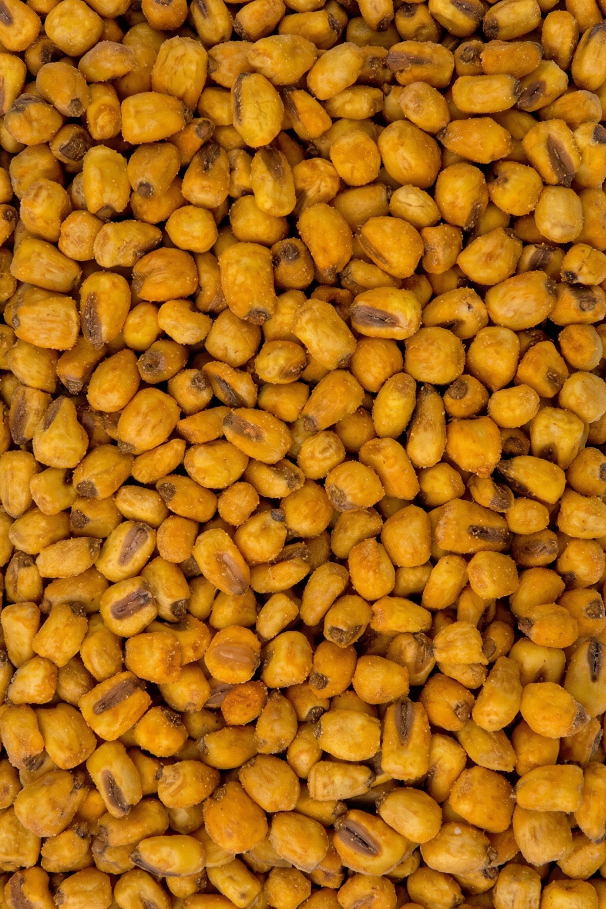 Soslu Mısır (Yeni,Elenmiş)