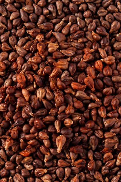 Üzüm Çekirdeği (Doğal Kurutulmuş,Elenmiş)