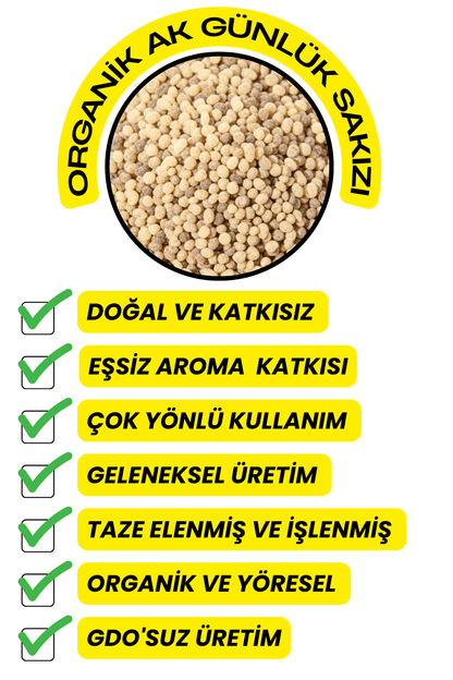 Ak Günlük Sakızı (Organik ,Yeni Mahsül,Elenmiş )